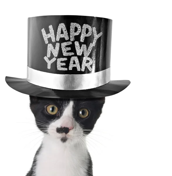 Boldog új évet cica — Stock Fotó