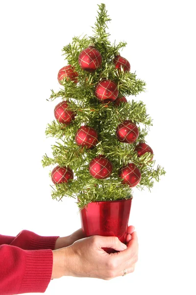 Mão árvore de Natal realizada — Fotografia de Stock