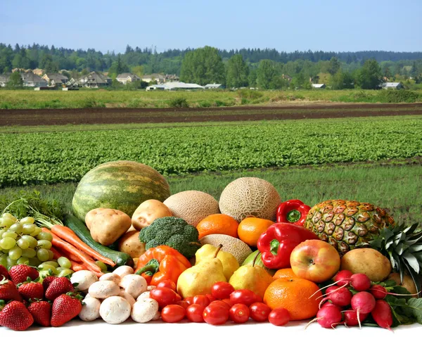 Farmer's crop — Stock Photo, Image