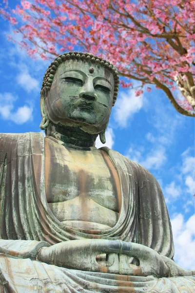 Wielki Budda — Zdjęcie stockowe