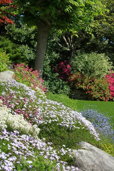 Каменный сад — стоковое фото