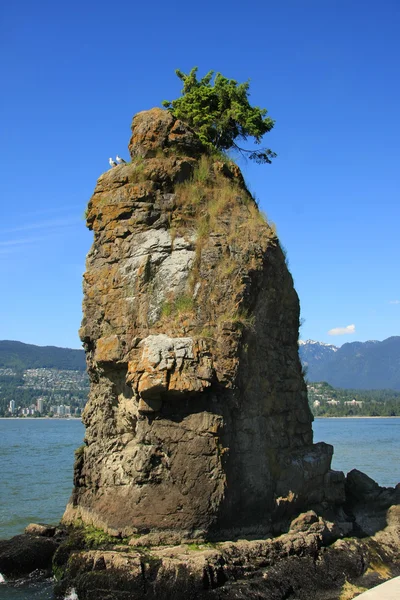Siwash Rock, Vancouver — Stock Photo, Image