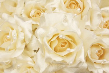 White roses clipart