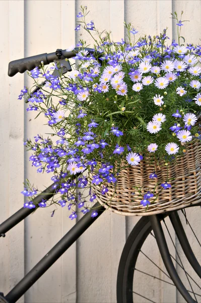 Bicicleta floral —  Fotos de Stock
