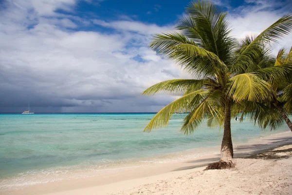 Praia tropical — Fotografia de Stock