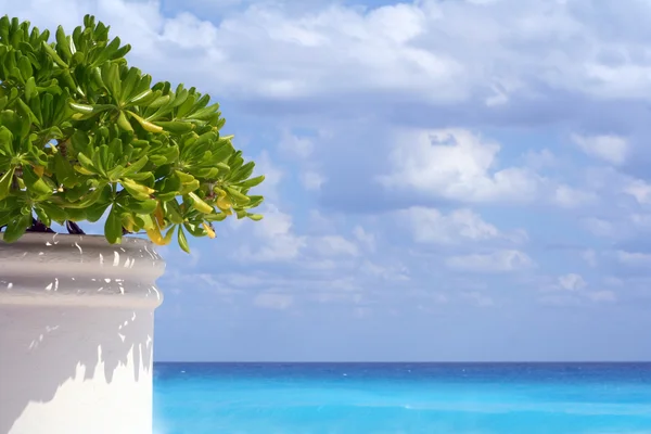 Krásné tropické pláže scéna. — Stock fotografie