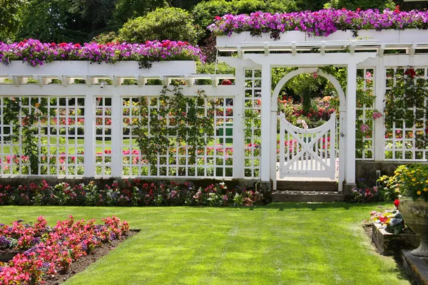 Rose garden gate — Stock Photo, Image