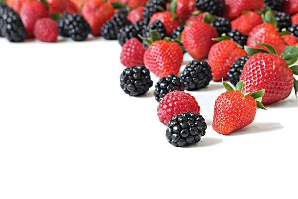草莓品种 — 图库照片