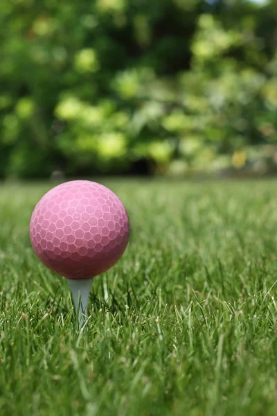 Rosa Golfball — Stockfoto