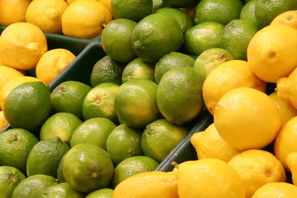 Lemons and Limes — Stock Photo, Image