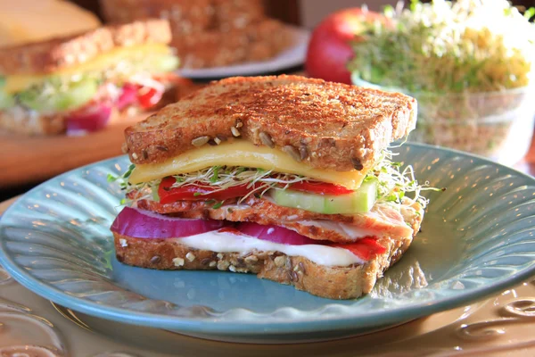 Sandwich de pavo suroeste —  Fotos de Stock