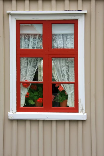 Ładne okna — Zdjęcie stockowe