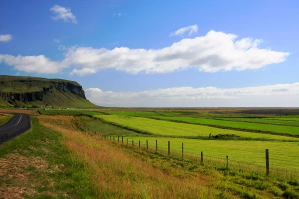 Ісландський краєвид — стокове фото