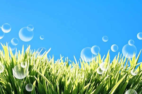 Summer bubbles — Stock Photo, Image