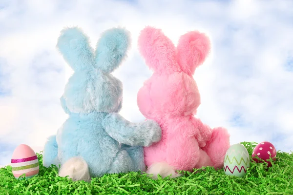 Easter bunny pair looking out at the sky — Stock Photo, Image