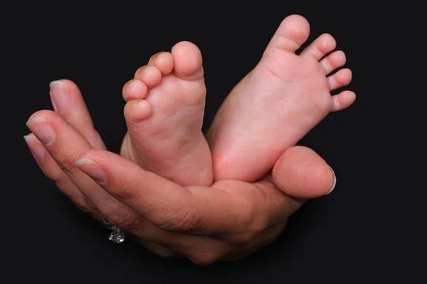 stock image Baby feet