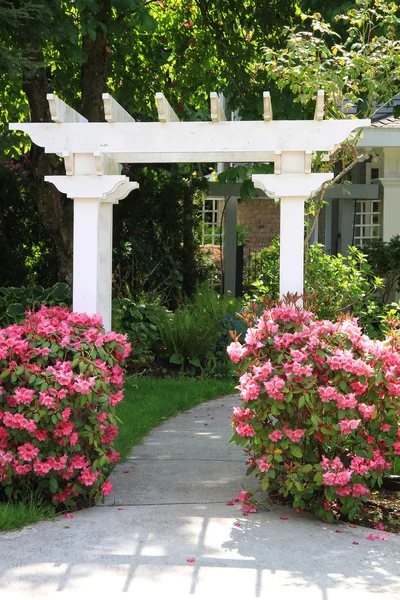 庭のアーバーとピンクの花. — ストック写真
