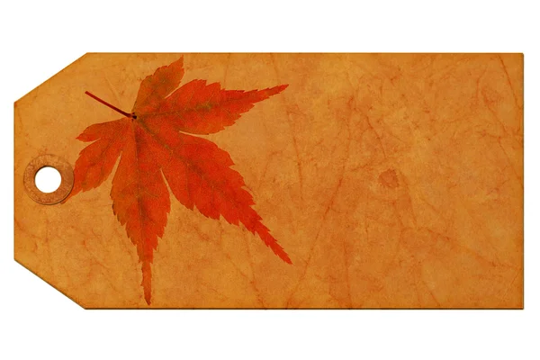 カエデの葉を持つギフト タグ — ストック写真
