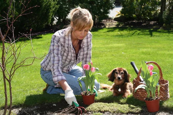 stock image Pretty gardener