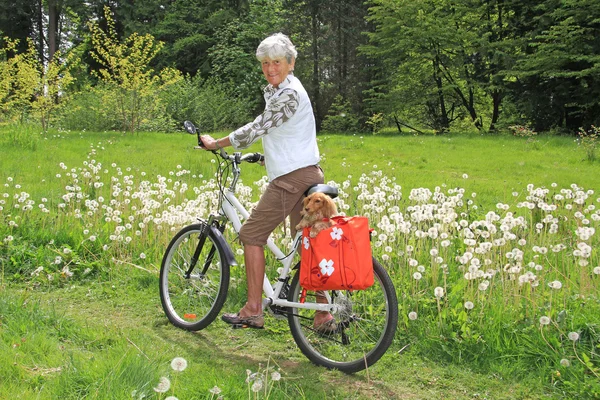Старшая леди-велосипедистка — стоковое фото