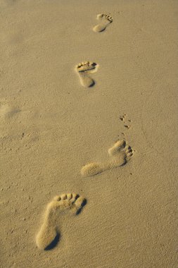 Foot prints clipart