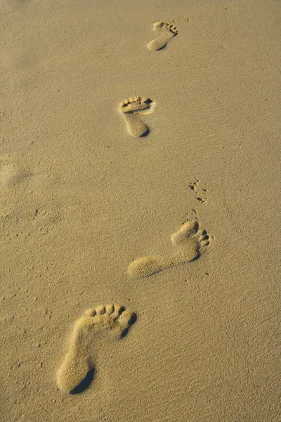 Impronte del piede — Foto Stock