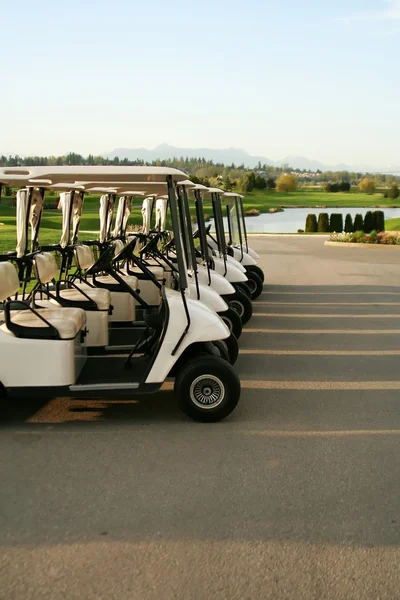 Chariots de golf, alignés — Photo