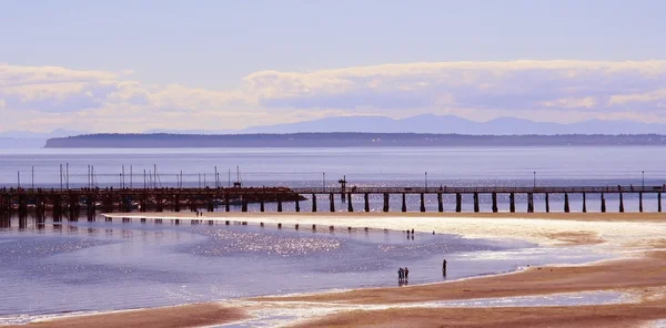 stock image Summer beach and pier scene, Canada.