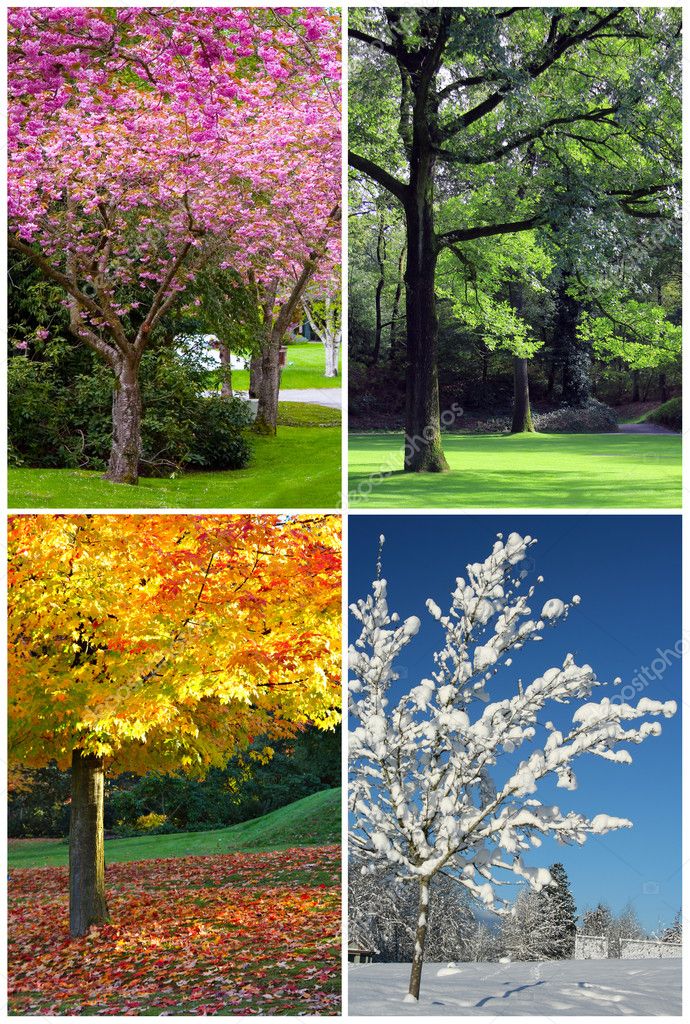 Four Seasons Stock Chart