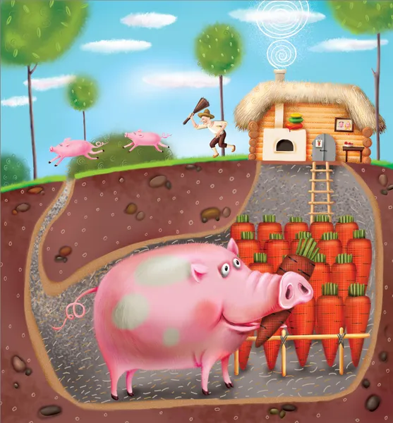 Smart gris i jordbrukare källaren — Stockfoto