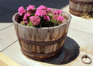 Garden wooden flower pot with pink Bloomer clipart