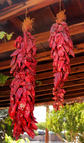 Bando de pimentas vermelhas — Fotografia de Stock