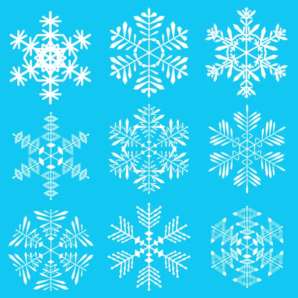 Uzornye snowflakes — Stock Vector