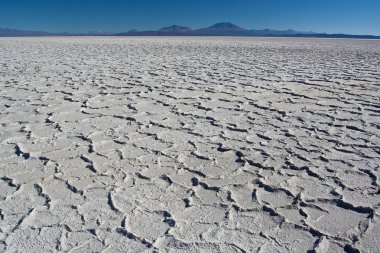 Salar de Uyuni