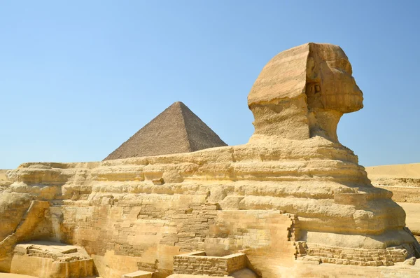 stock image Sphinx