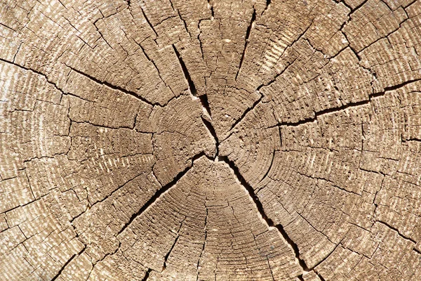 stock image Old wood texture