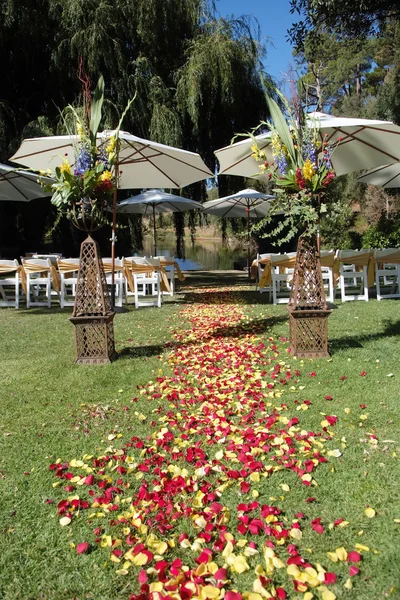 Садовая свадьба — стоковое фото