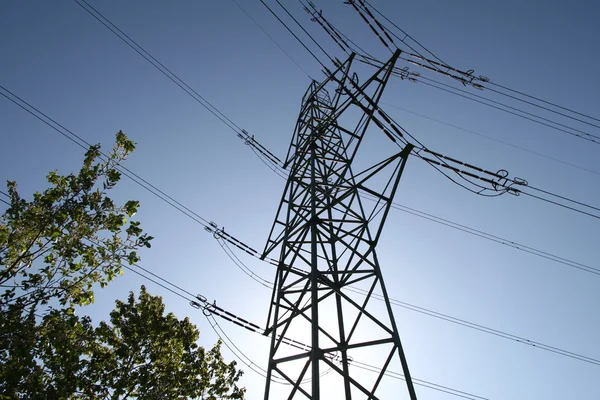 stock image Power line and bush