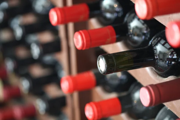 Flaskor i vinkällaren — Stockfoto
