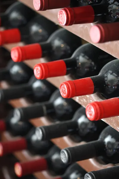 Flaschen im Weinkeller — Stockfoto