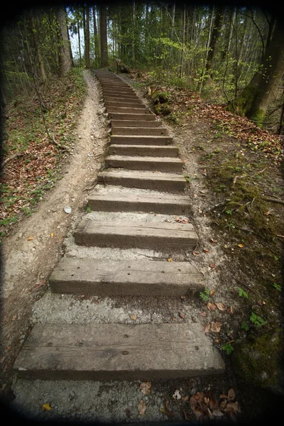 stock image Wooden steps