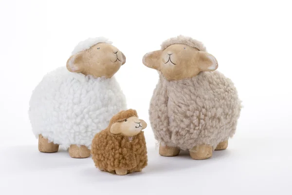 stock image Sheep family