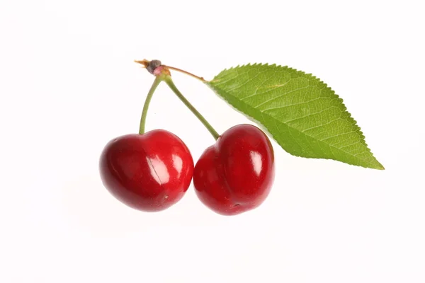 stock image Two ripe cherries