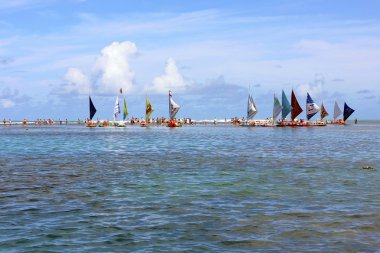 Jangada - porto de galinhas Beach bir Brezilyalı yelken - Brezilya