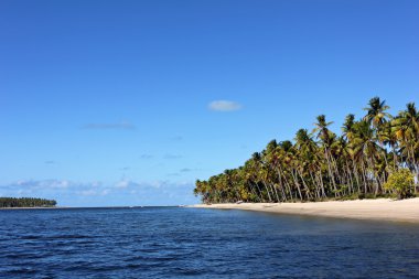 Porto de galinhas beach - Brezilya