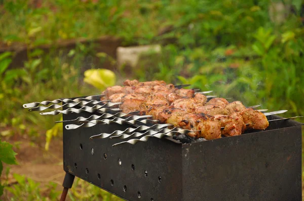 Barbecue on grill — Stock Photo, Image