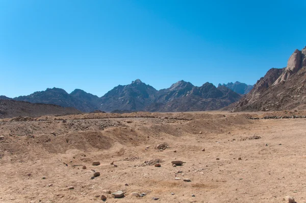 stock image Rocks in Desert (Egypt)