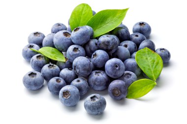 Blueberry clipart