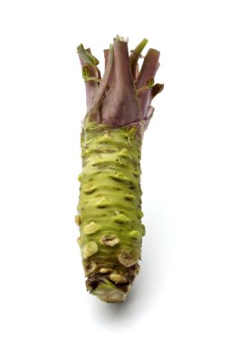 Wasabi.