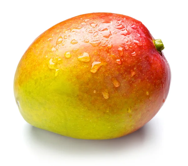 Elma mango — Stok fotoğraf